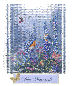 Gif animé Bon mercredi oiseaux